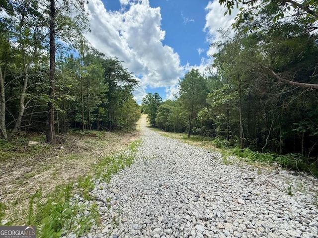 TRACT1 Kelly Rd, Cedartown, GA 30125 - view of street with a view of trees