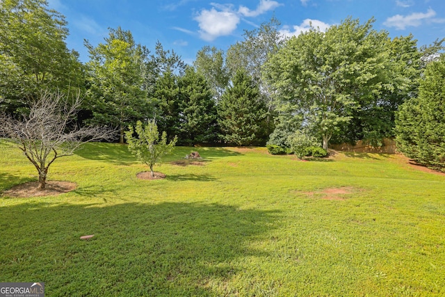 425 Eldridge Dr, Suwanee, GA 30024 - view of grassy yard