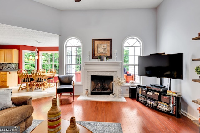 52 Cherub Ln, Sharpsburg, GA 30277 - living area with wood finished floors and a premium fireplace