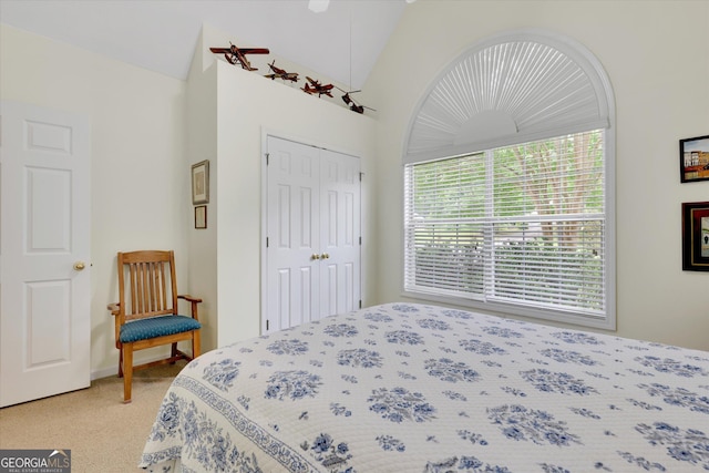 52 Cherub Ln, Sharpsburg, GA 30277 - bedroom featuring light colored carpet and a closet