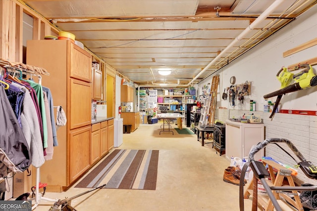 52 Cherub Ln, Sharpsburg, GA 30277 - view of unfinished below grade area