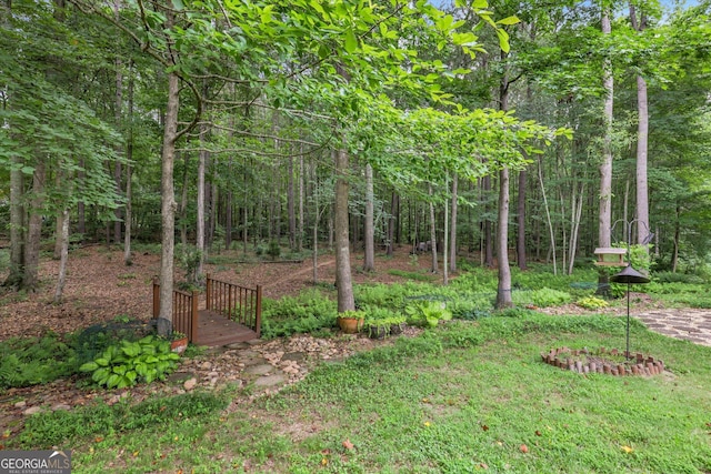 52 Cherub Ln, Sharpsburg, GA 30277 - view of yard featuring a wooded view