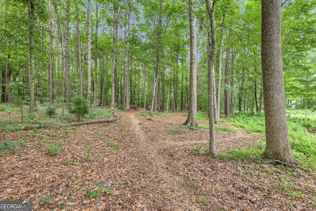 52 Cherub Ln, Sharpsburg, GA 30277 - view of tree filled area