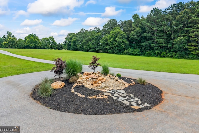 639 Frank Crook Rd, Canon, GA 30520 - view of green lawn with view of scattered trees