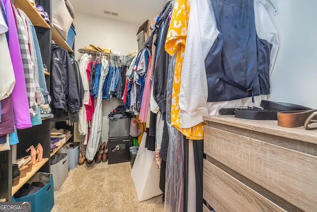 40 Westbrook Rd, Carrollton, GA 30116 - walk in closet with carpet floors