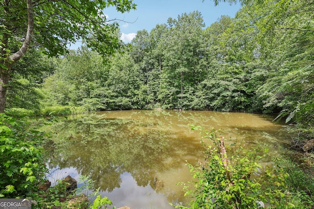 4685 Braselton Hwy, Hoschton, GA 30548 - water view