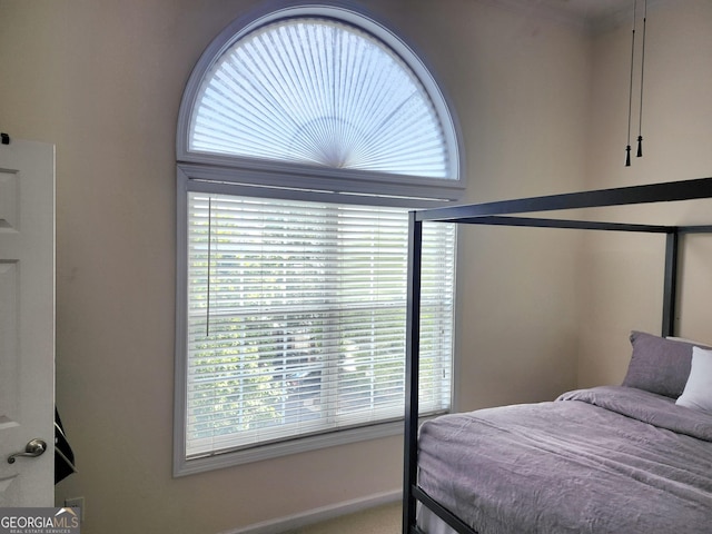 4250 River Green Dr NW Apt 405, Atlanta, GA 30327 - bedroom featuring multiple windows
