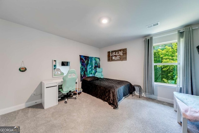 191 Eagle Heights Dr, Maysville, GA 30558 - bedroom with light carpet and a desk