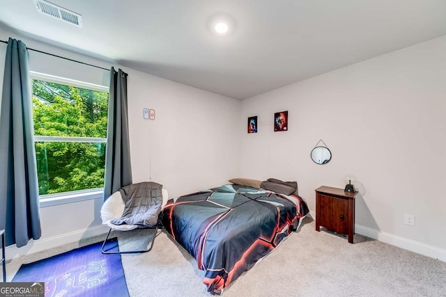 191 Eagle Heights Dr, Maysville, GA 30558 - bedroom featuring baseboards and carpet