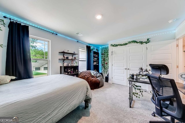 191 Eagle Heights Dr, Maysville, GA 30558 - carpeted bedroom with a closet