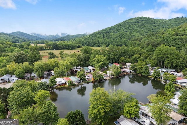 4149 Riverbank Run, Hiawassee, GA 30546