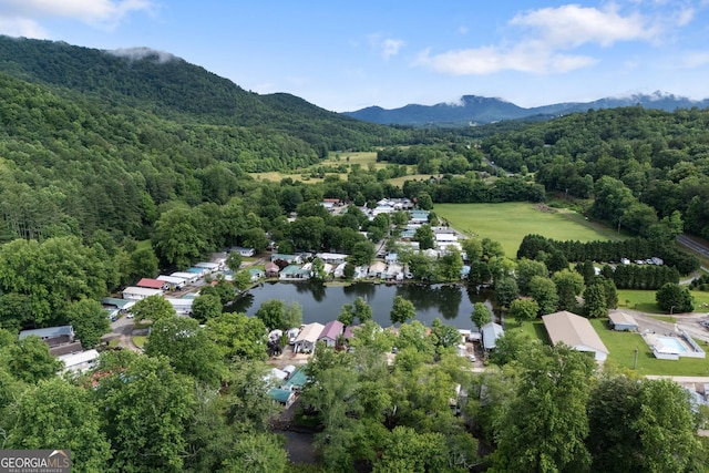 4149 Riverbank Run, Hiawassee, GA 30546