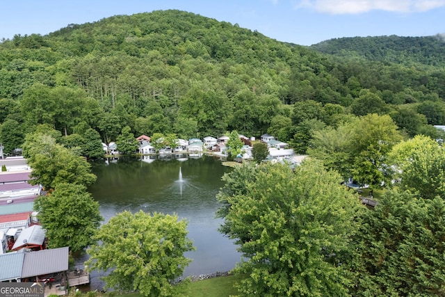 4149 Riverbank Run, Hiawassee, GA 30546