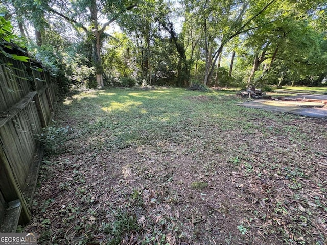 520 Holman Ave, Athens, GA 30606 - view of yard