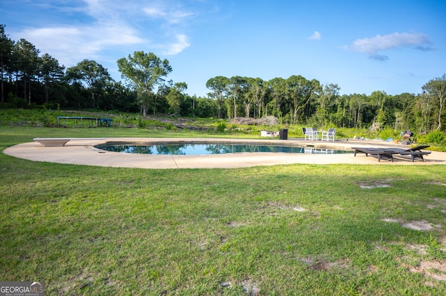 1940 Horne Rd, Eastman, GA 31023 - swimming pool with a lawn, a diving board, and a patio area