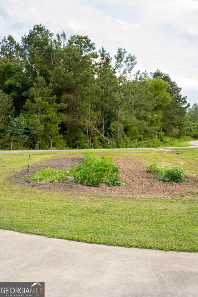 1940 Horne Rd, Eastman, GA 31023 - view of grassy yard