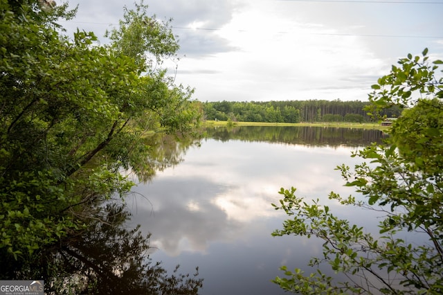 1940 Horne Rd, Eastman, GA 31023 - water view featuring a forest