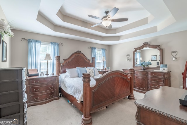 53 Denny Ln, Dallas, GA 30157 - bedroom featuring a tray ceiling, multiple windows, and light carpet