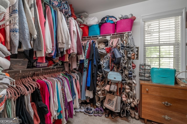 53 Denny Ln, Dallas, GA 30157 - view of spacious closet