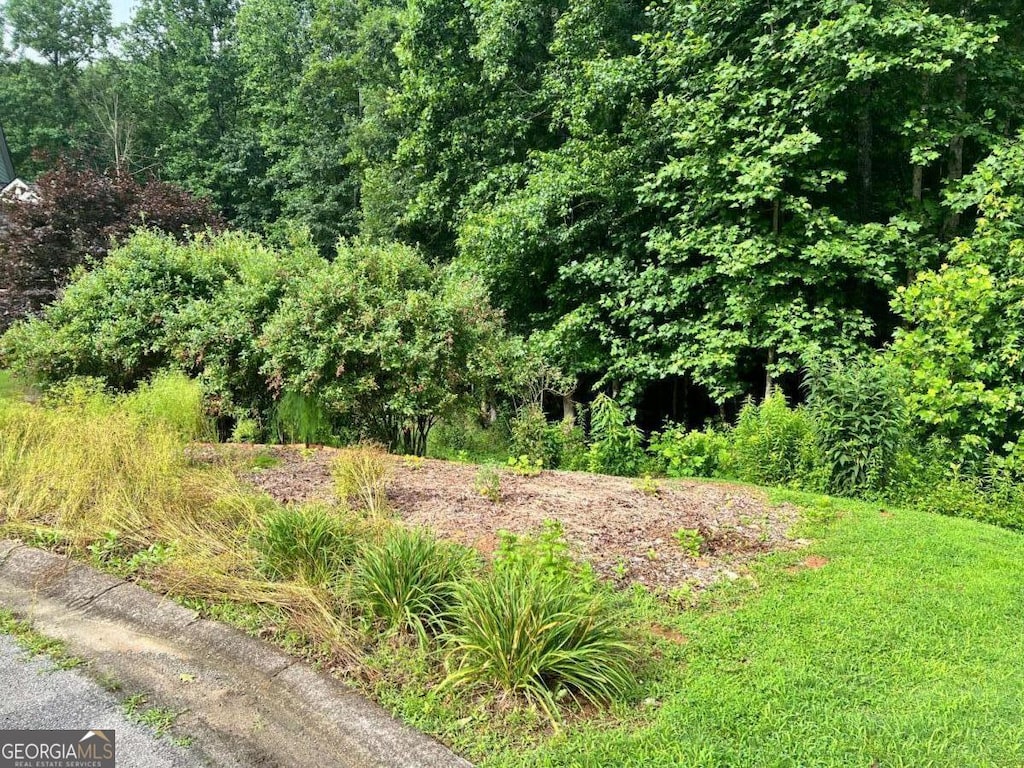 5578 Checkered Spot Dr, Gainesville, GA 30506