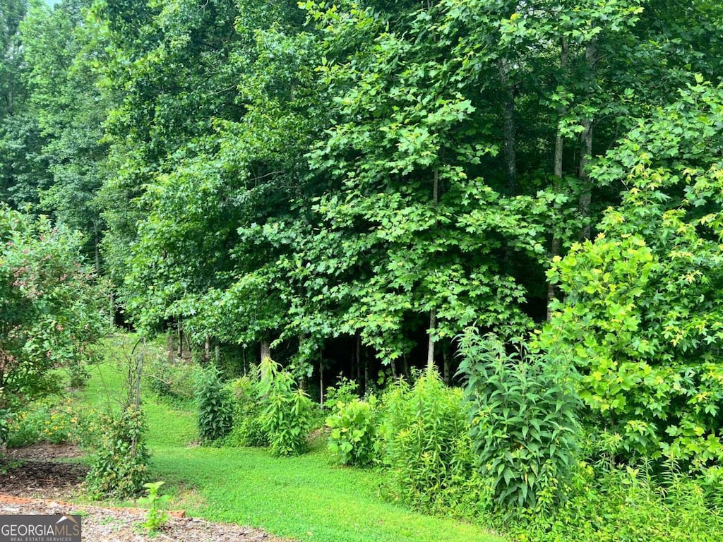 5578 Checkered Spot Dr, Gainesville, GA 30506