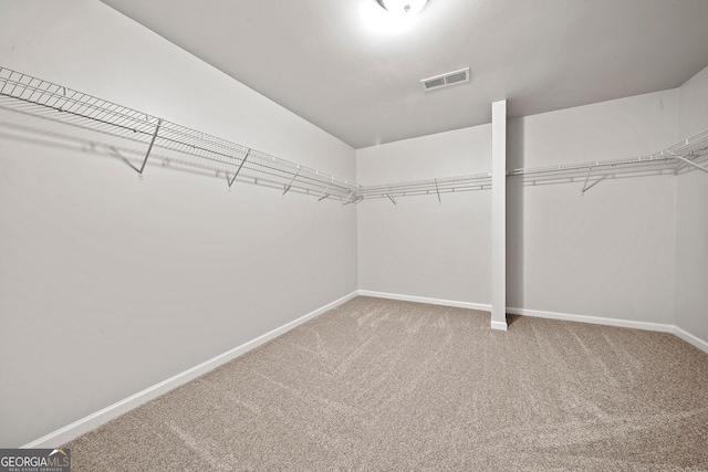 3865 Rifflepool Ct, Douglasville, GA 30135 - spacious closet with carpet floors