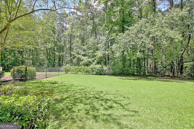 1709 Reese Rd, Sharpsburg, GA 30277 - view of yard