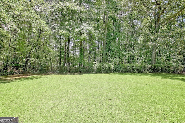 1709 Reese Rd, Sharpsburg, GA 30277 - view of yard