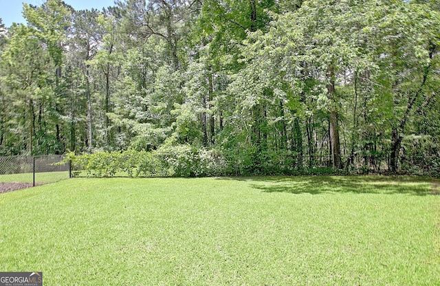 1709 Reese Rd, Sharpsburg, GA 30277 - view of yard
