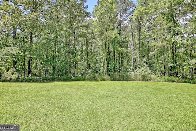 1709 Reese Rd, Sharpsburg, GA 30277 - view of grassy yard