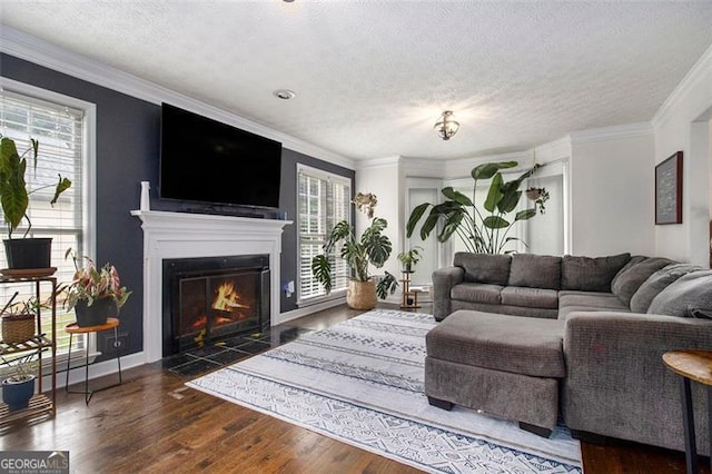 1452 Crooked Tree Cir, Stone Mountain, GA 30088 - living area featuring plenty of natural light, wood finished floors, a fireplace with flush hearth, a textured ceiling, and crown molding