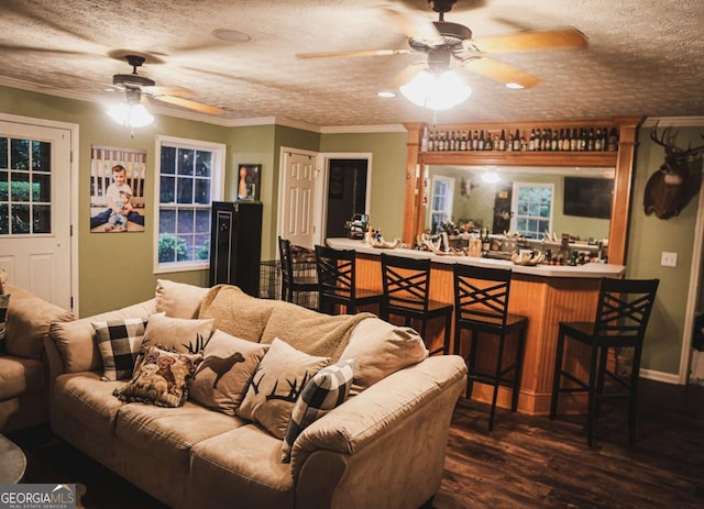 1665 Jackson Lake Rd, Mansfield, GA 30055 - living room with ceiling fan, ornamental molding, bar area, dark wood finished floors, and a textured ceiling