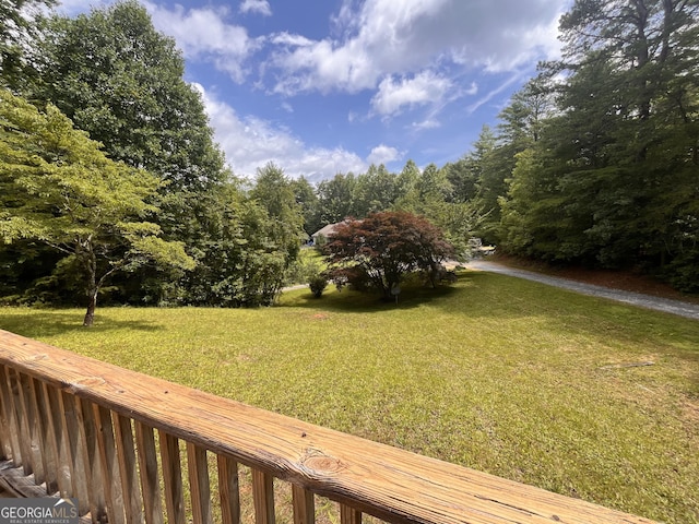 172 Fred Henry Ln, Clayton, GA 30525 - view of grassy yard