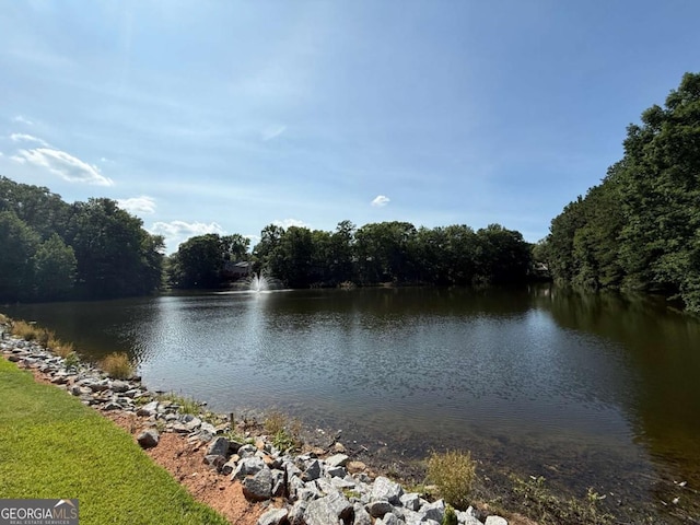 40 Dunwoody Springs Dr, Atlanta, GA 30328 - water view featuring a heavily wooded area