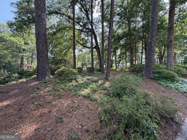 40 Dunwoody Springs Dr, Atlanta, GA 30328 - view of yard