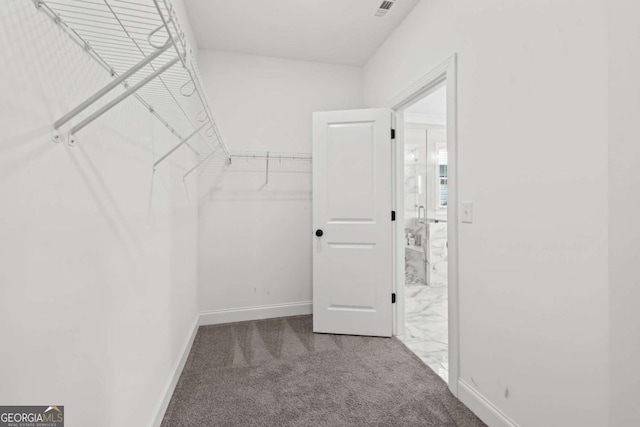 6080 Simone St, Acworth, GA 30101 - spacious closet featuring carpet flooring