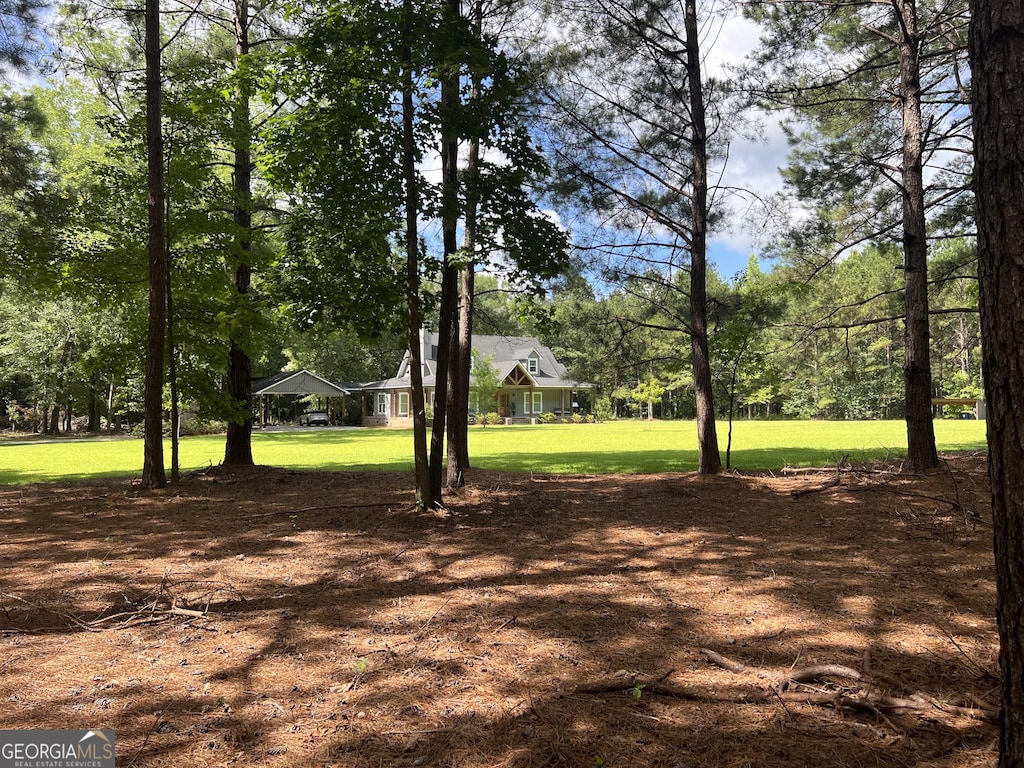 1030 Marley Cannon Rd, Dublin, GA 31021 - view of grassy yard with view of wooded area