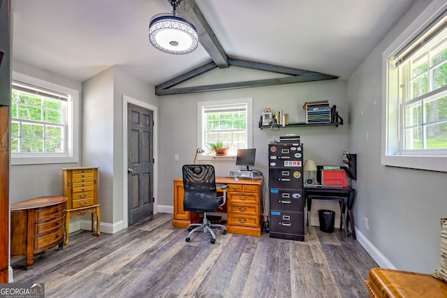 11 Hamilton Cir, Blairsville, GA 30512 - home office with dark wood-style flooring