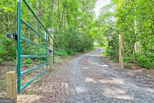 11 Hamilton Cir, Blairsville, GA 30512 - view of dirt / gravel road with a forest view