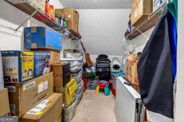 15 Saddlebrook Ct, Covington, GA 30016 - view of storage