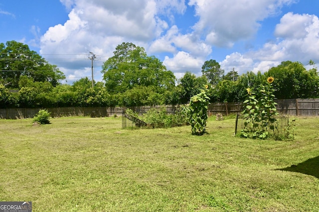 5321 Oak St, Eastman, GA 31023 - view of yard