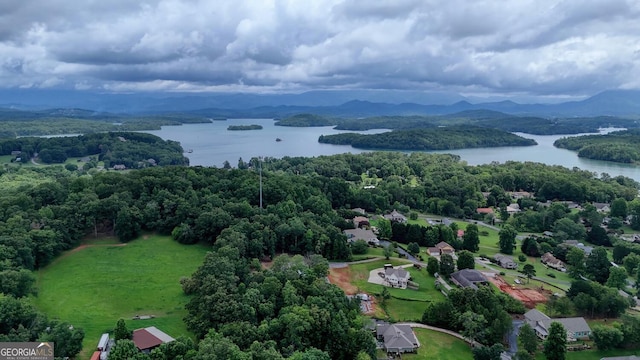 1529 Cedar Vw, Hiawassee, GA 30546 - drone / aerial view of a water and mountain view
