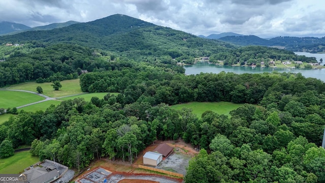 1529 Cedar Vw, Hiawassee, GA 30546 - drone / aerial view of a water and mountain view and a forest