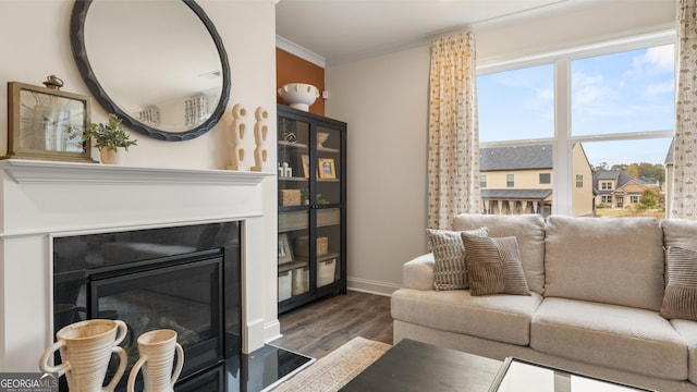 687 Edgar St Lot 83, Hampton, GA 30228 - living area featuring dark wood-type flooring, crown molding, and a fireplace with flush hearth
