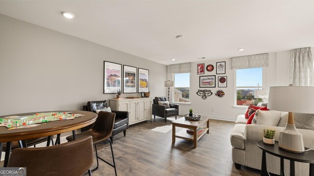 687 Edgar St Lot 83, Hampton, GA 30228 - living room featuring wood finished floors and recessed lighting