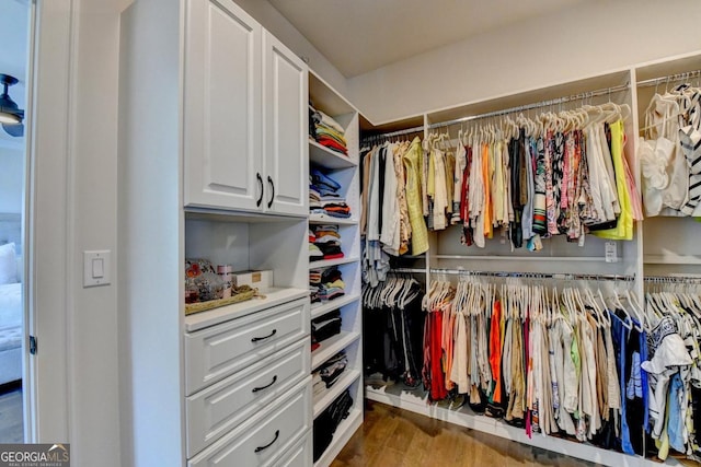 767 Farmstead Rd, Suwanee, GA 30024 - walk in closet featuring wood finished floors