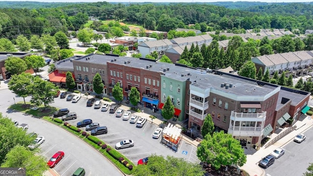 767 Farmstead Rd, Suwanee, GA 30024 - drone / aerial view of a forest