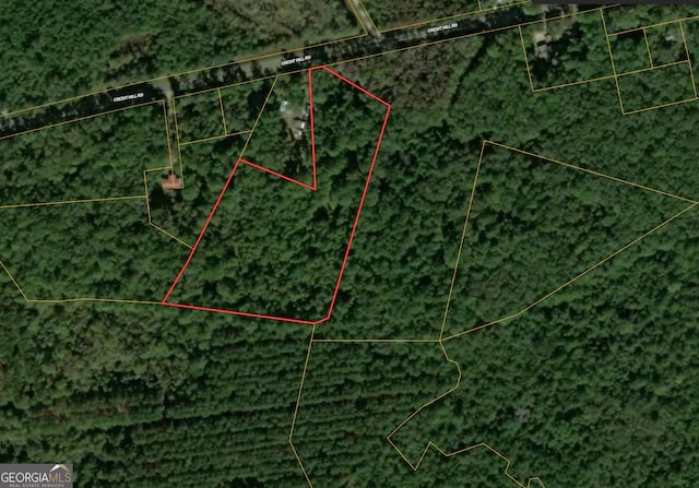 1243 Credit Hill Rd SW Unit 5Acres, Townsend, GA 31331