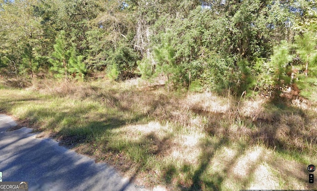 1243 Credit Hill Rd SW Unit 5Acres, Townsend, GA 31331