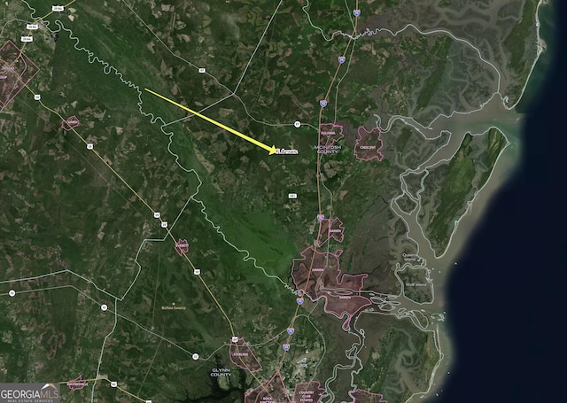 1243 Credit Hill Rd SW Unit 5Acres, Townsend, GA 31331